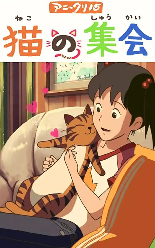 国产不卡理论
