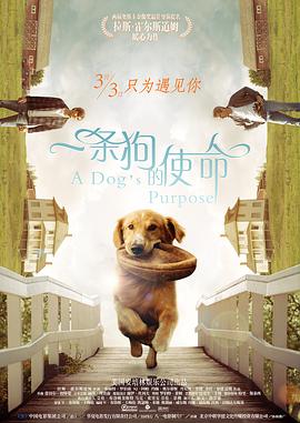 国产ts系列