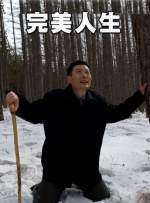 爱情是任何人