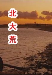 一见钟情的妻子
