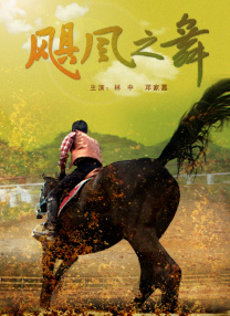 大象视频回家的领航