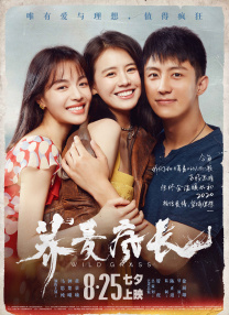 国语对白清晰好大好白